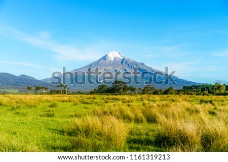 lush grass,trees and the cone volcano mount taranaki, new zealand