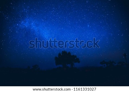 Galaxy landscape with pink and blue light. Long exposure night photo with trees un the dark