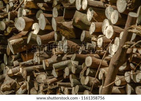 Close-up stacked of firewoods outside the hut