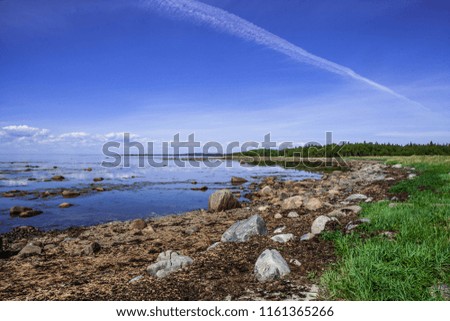 The shore of the White Sea at low tide. beautiful landscape. A picture of nature.