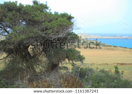 Landscapes of Cyprus, Ayia Napa, Cape Greco, stones, sea, texture, background, grass, muted colors of nature