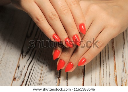 Beautiful Female Hands. Beautiful hand with perfect nail
