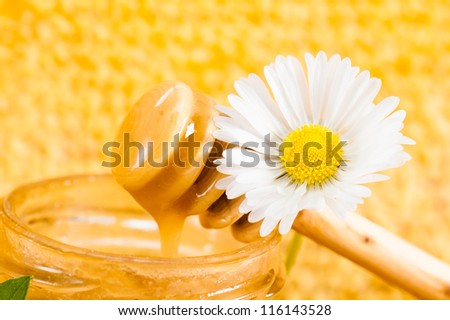 jar of honey on the background of honeycombs
