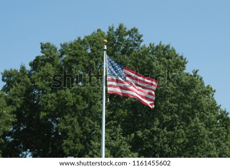 American flag waving in the breeze in front of a full, leafy green tree and a bright blue sky.