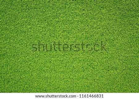Grass texture for background