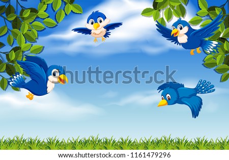 Birds flying on the sky illustration