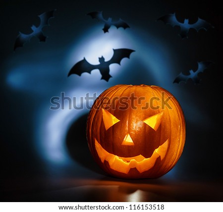 Picture of halloween holiday background, carved glowing pumpkin and black bat in dark night, jack-o-lantern, creepy nightmare, scary shadow, halloween celebration