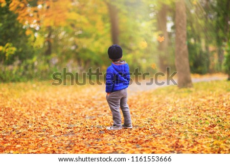 A kid is watching the leaves fall off the trees during the fall season. Alone little boy in the forest enjoys a magical autumn landscape (portrait captured in the back). Boy in golden autumn park.