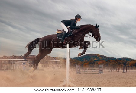 Equestrian sport - a young girl is riding a horse Royalty-Free Stock Photo #1161588607