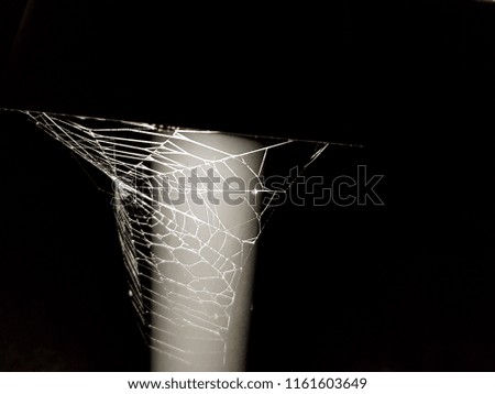 Close up сobweb, spiderweb in the light of a lantern at night on a pole.