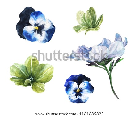 Hand-drawn watercolor leaves, branches and blue violet flower set isolated on white.