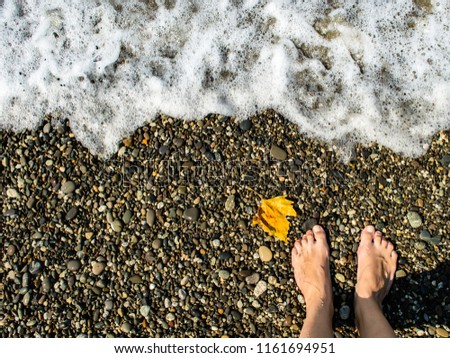 Maple leaf on the beach Helios autumn bokeh background texture