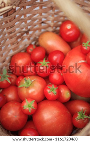 Tomatoes in a basket on a wooden background. Autumn harvest. Harvesting in summer and autumn. Homemade vegetables.