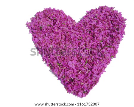 Purple Flower Heart on White Empty  Background. Love Symbol Made of Colorful Bright Vibrant Purple Flowers Isolated on White. Heart Icon Original Idea for Romantic Message 
