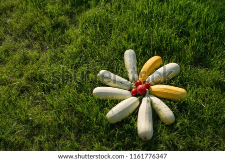 Zucchini and tomato in center in form of flower on grass