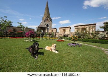 Dogs pose for a photo in Hochosterwitz Castle