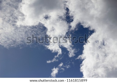 beautiful white cloud similar to a celestial dragon