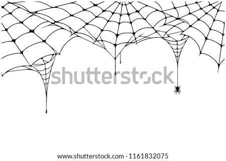 Scary spider web background. Cobweb background with spider. Spooky spider web for Halloween decoration. Vector