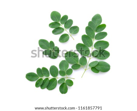 Moringa leaves isolated on white background. Royalty-Free Stock Photo #1161857791