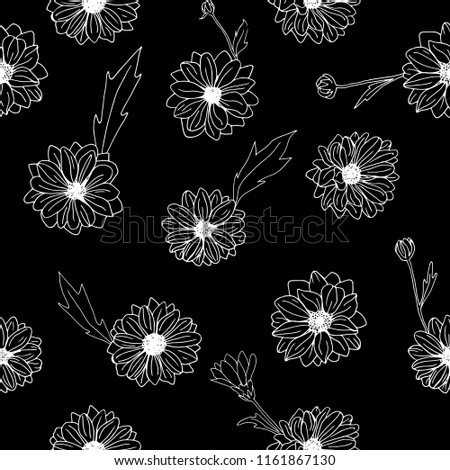 Hand drawn chrysanthemum flowers, branches, leaves isolated on a white background. Chrysanthemum Flower.