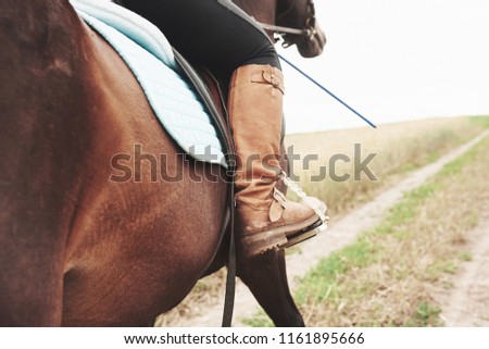 Closeup picture of young beautiful woman rides a horse.
