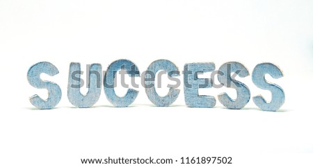 Success word painted letter on white background. Standing wooden letter. Positive word for business or education process. Accomplishment or achievement concept. Success banner template with text place