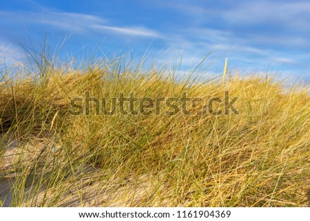 Dune with blue sky