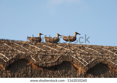 straw ducks on the roofs of English houses
