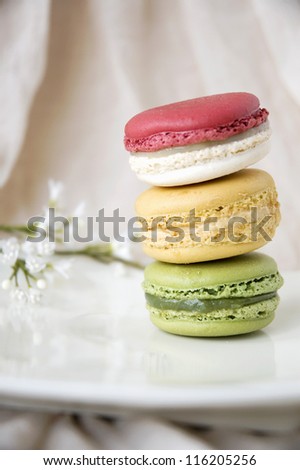 french macarons on white plate with little flowers background