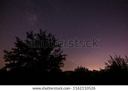 tree silhouette, starry sky, milky way, stars