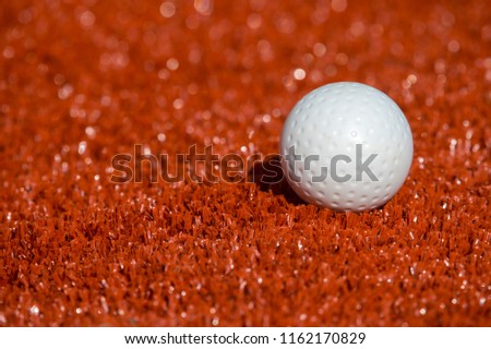 White ball for playing field hockey on the red grass background