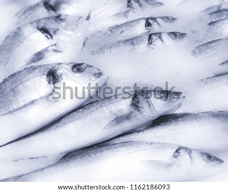 fresh sea fish in market Royalty-Free Stock Photo #1162186093