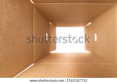 View from inside a large rough cardboard box. White light outside.