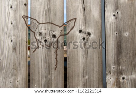 Wooden fence. Portrait of a dog of the Chihuahua breed. Knots in a wooden board are used for the eyes and nose.