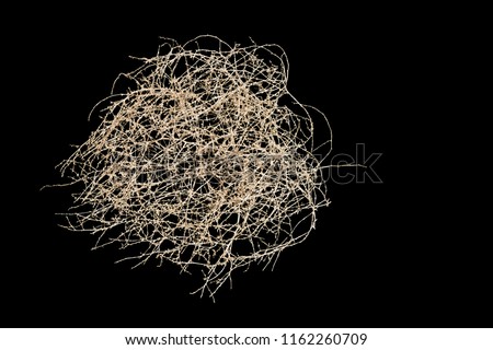 Tumbleweed on black background