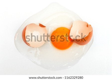 Take chicken eggs from the farm to take pictures.