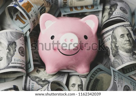 Piggy bank and money, concept for saving money.