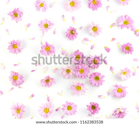 Purple flowers, yellow pollen, blooming on a white background.