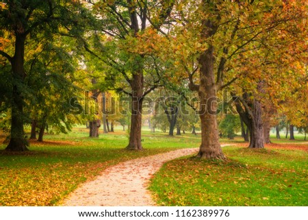 Beautiful park in autumn colors