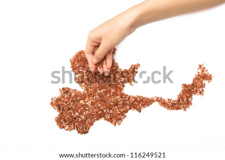 woman hand make the map of thailand form the brown rice on white background
