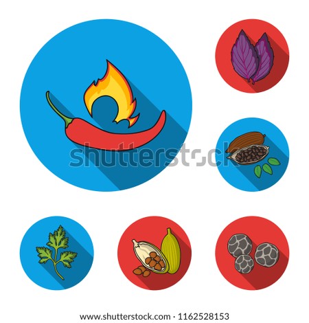 Herb and spices flat icons in set collection for design.Different kinds of seasonings vector symbol stock web illustration.