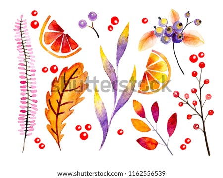 Hand drawn watercolor forest leaves and berries. Isolated icons. Autumn abstract botanical branches. Guelder, pumpkin, dog rose. Season greetings, wedding card, sale banner.