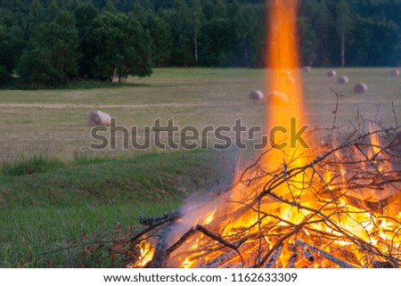 Fireplace orange fire flame on old wooden branches stack with country field background in midsummer evening