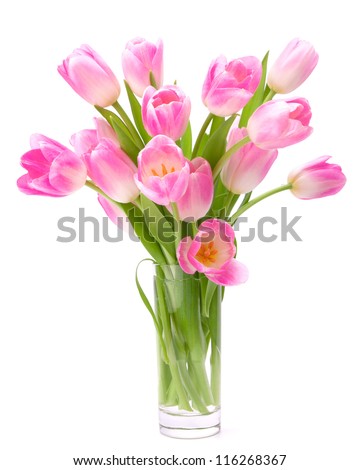 Pink tulips bouquet in vase isolated on white background Royalty-Free Stock Photo #116268367