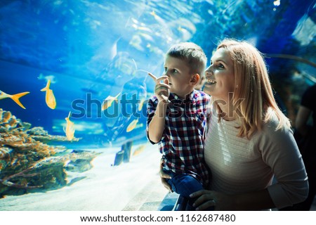 Mother and her child watching sea life Royalty-Free Stock Photo #1162687480
