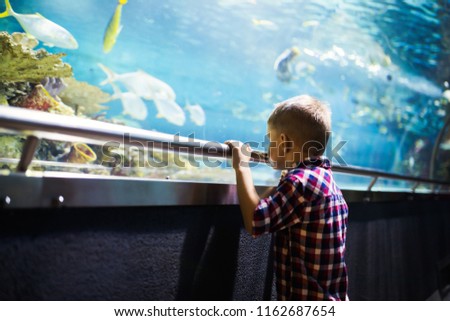 Serious boy looking in aquarium with tropical fish