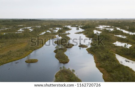Beautiful lakes in the swamp. Photo from the air