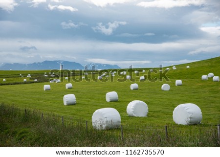 Silage on a meadow in iceland