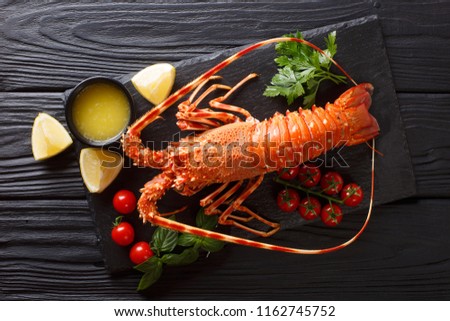 Expensive food: spiny boiled lobster with fresh tomato, lemon and melted butter close-up on black stone. Horizontal top view from above
 Royalty-Free Stock Photo #1162745752