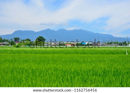 View of Mt.Akagi Royalty-Free Stock Photo #1162756456